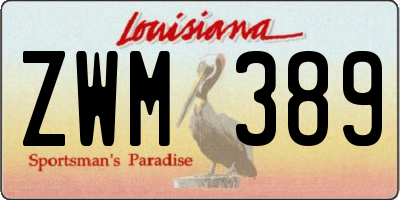 LA license plate ZWM389