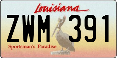LA license plate ZWM391