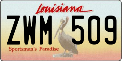 LA license plate ZWM509