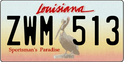 LA license plate ZWM513