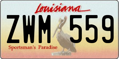 LA license plate ZWM559
