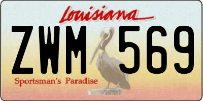 LA license plate ZWM569