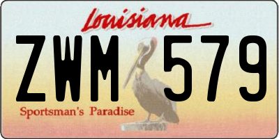 LA license plate ZWM579