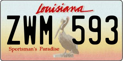 LA license plate ZWM593