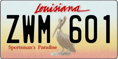 LA license plate ZWM601