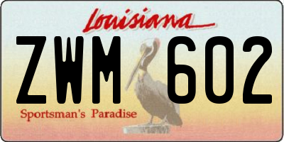 LA license plate ZWM602