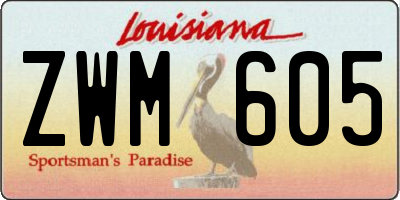 LA license plate ZWM605