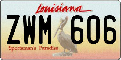 LA license plate ZWM606