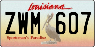 LA license plate ZWM607