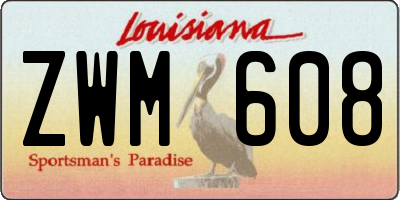 LA license plate ZWM608