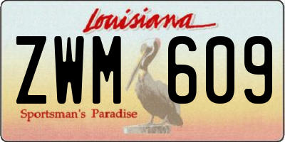 LA license plate ZWM609