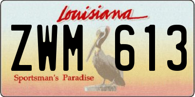 LA license plate ZWM613