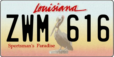 LA license plate ZWM616