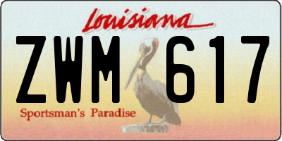 LA license plate ZWM617