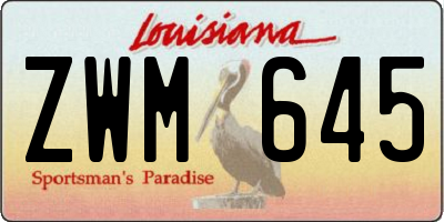 LA license plate ZWM645