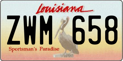 LA license plate ZWM658