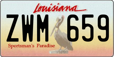 LA license plate ZWM659