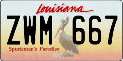LA license plate ZWM667