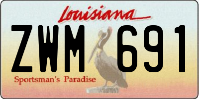 LA license plate ZWM691