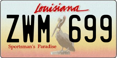 LA license plate ZWM699