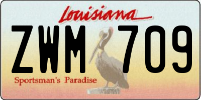 LA license plate ZWM709