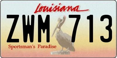 LA license plate ZWM713