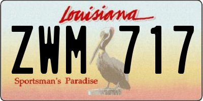 LA license plate ZWM717
