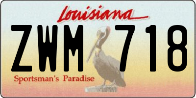 LA license plate ZWM718