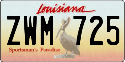 LA license plate ZWM725
