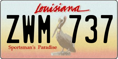 LA license plate ZWM737
