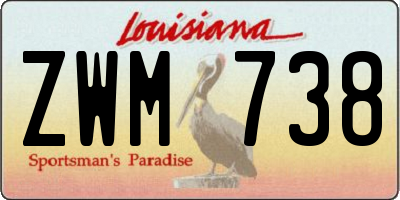 LA license plate ZWM738