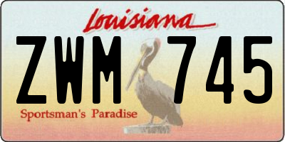 LA license plate ZWM745