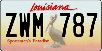 LA license plate ZWM787