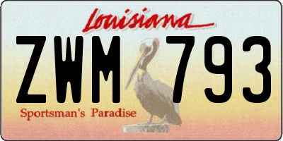 LA license plate ZWM793