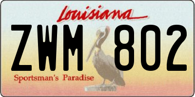 LA license plate ZWM802