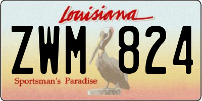 LA license plate ZWM824