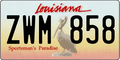 LA license plate ZWM858