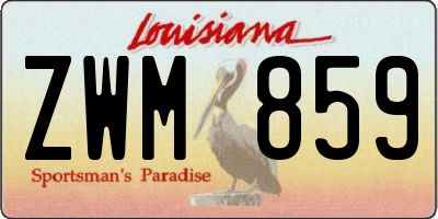 LA license plate ZWM859