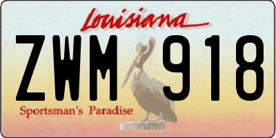 LA license plate ZWM918