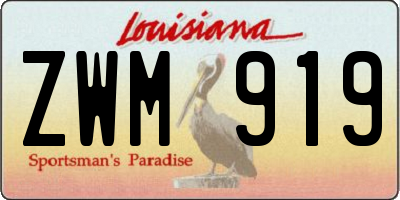LA license plate ZWM919