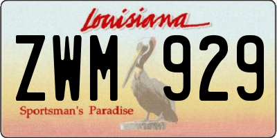 LA license plate ZWM929