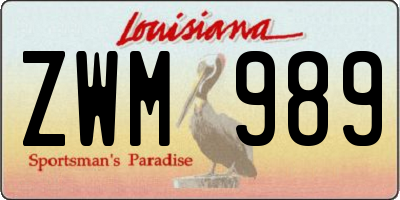 LA license plate ZWM989
