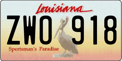 LA license plate ZWO918