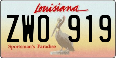 LA license plate ZWO919