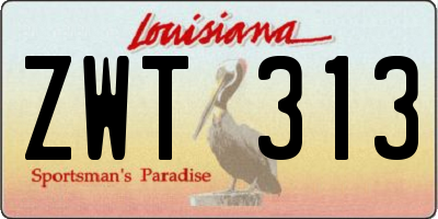 LA license plate ZWT313