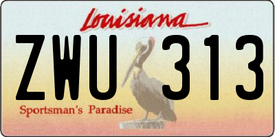 LA license plate ZWU313