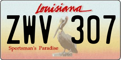 LA license plate ZWV307