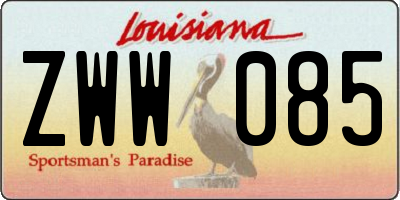 LA license plate ZWW085