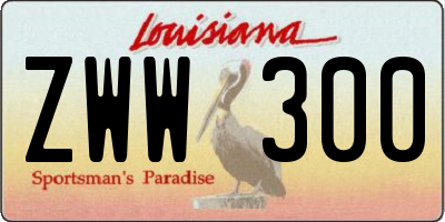 LA license plate ZWW300