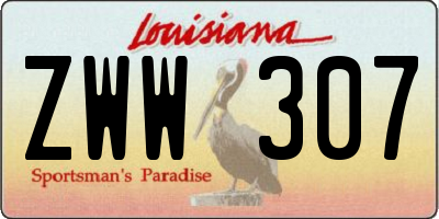 LA license plate ZWW307